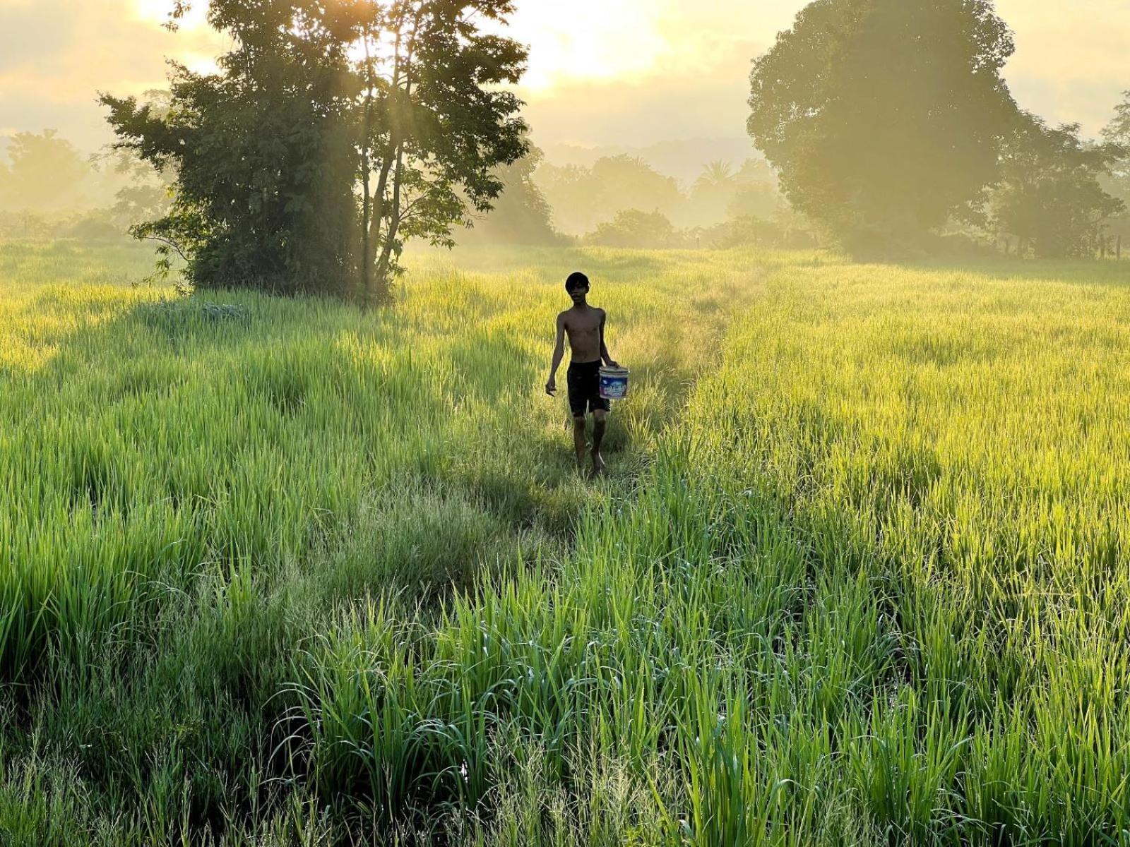 The Little Vegan Homestay Phumi Banteay Srei المظهر الخارجي الصورة