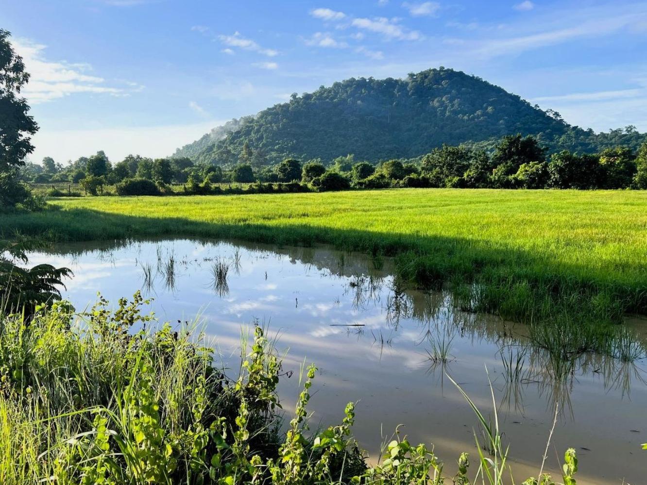 The Little Vegan Homestay Phumi Banteay Srei المظهر الخارجي الصورة