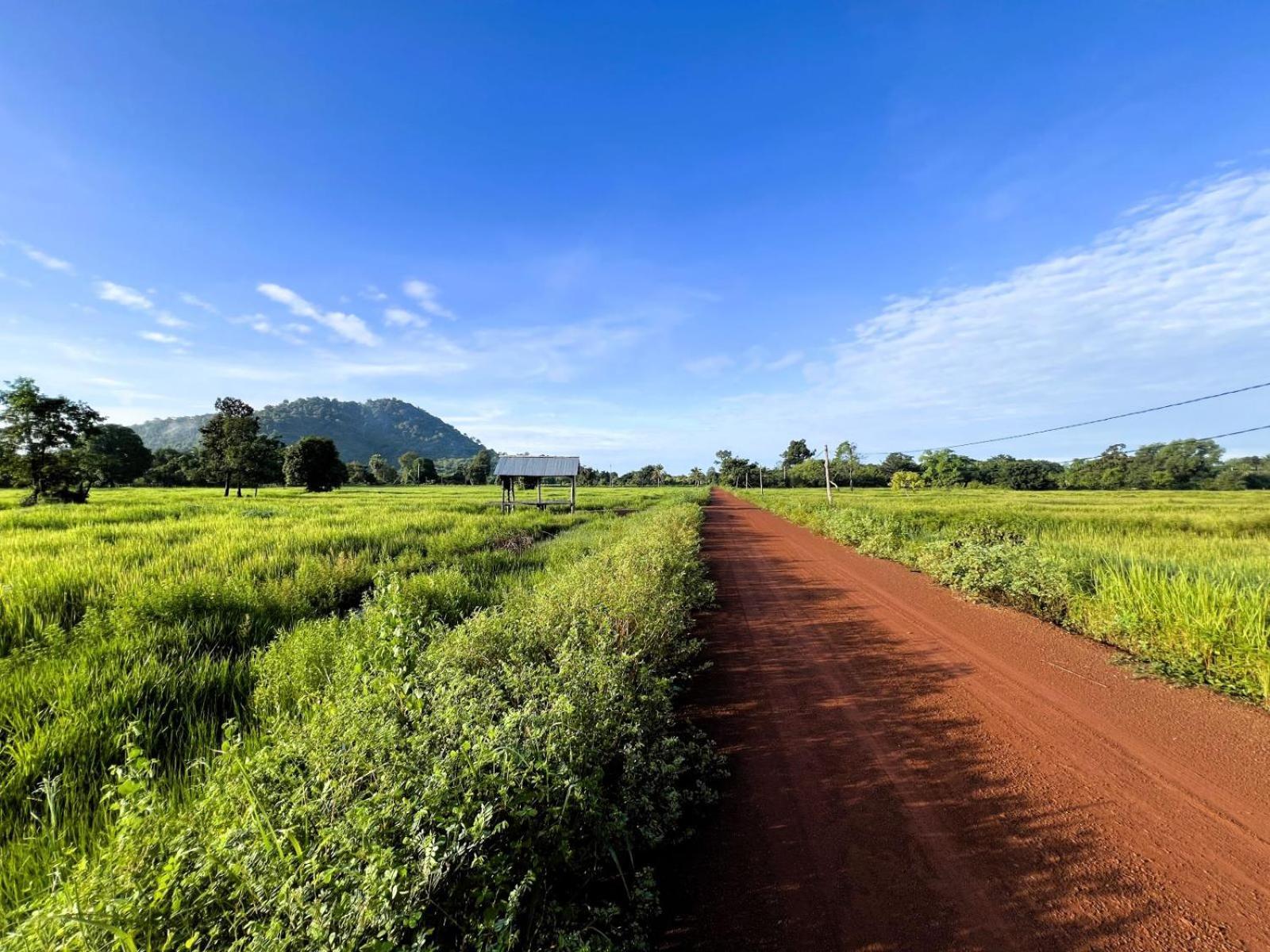 The Little Vegan Homestay Phumi Banteay Srei المظهر الخارجي الصورة